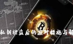 TP钱包私钥被盗后的应对措
