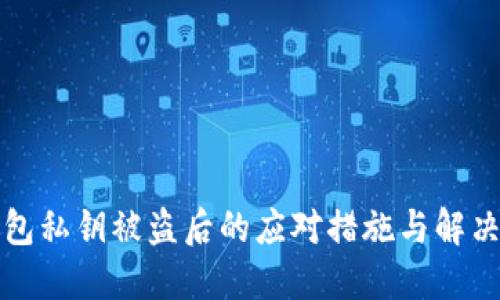 TP钱包私钥被盗后的应对措施与解决方案