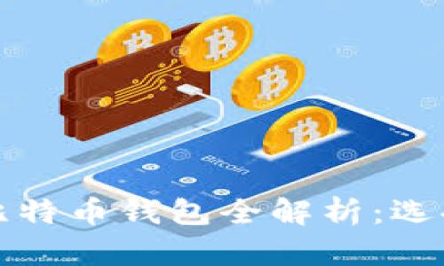 2023年美国版比特币钱包全解析：选择、使用及安全性