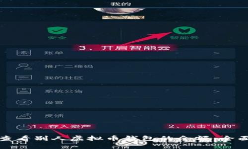 如何查看别人虚拟币钱包的余额：全面指南
