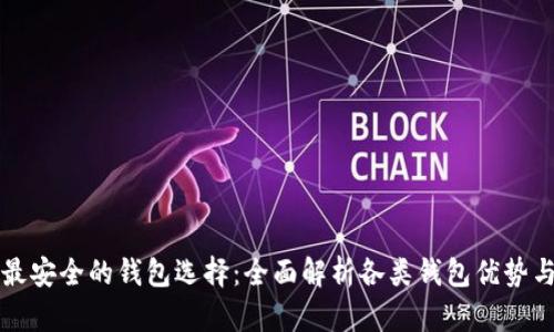 虚拟币最安全的钱包选择：全面解析各类钱包优势与适用性