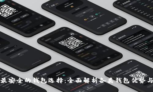虚拟币最安全的钱包选择：全面解析各类钱包优势与适用性