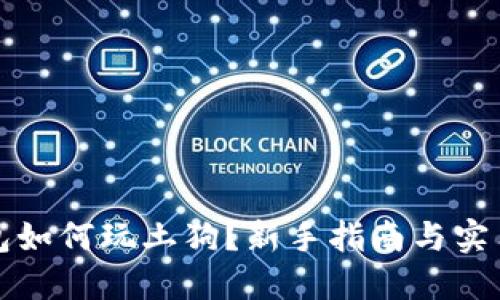 TP钱包如何玩土狗？新手指南与实用技巧