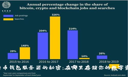 比特币钱包服务器的秘密：在哪里存储你的数字资产？