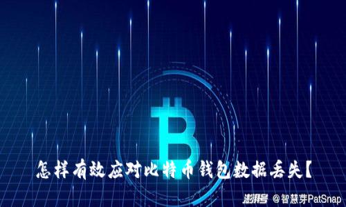 怎样有效应对比特币钱包数据丢失？