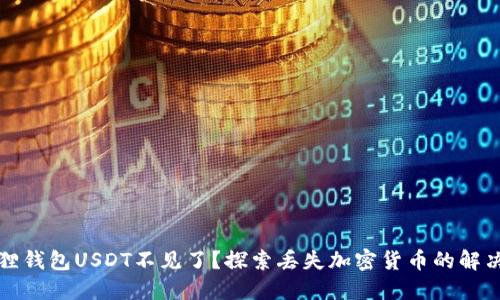 小狐狸钱包USDT不见了？探索丢失加密货币的解决方案