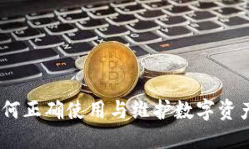 TP钱包：如何正确使用与维护数字资产的安全性