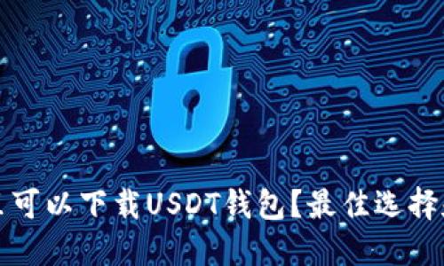 在哪里可以下载USDT钱包？最佳选择和指南