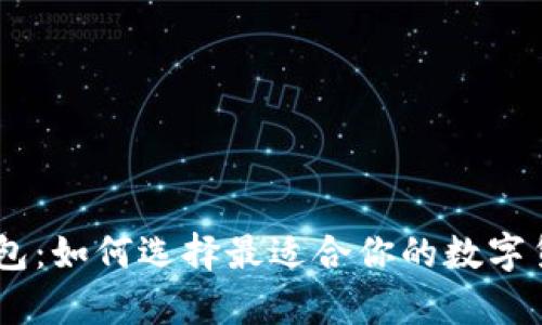 汇旺USDT钱包：如何选择最适合你的数字货币存储方案