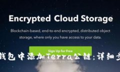 如何在TP钱包中添加Terra公
