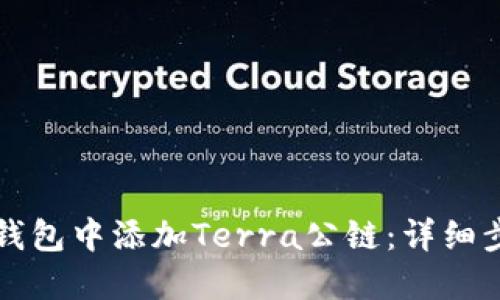 如何在TP钱包中添加Terra公链：详细步骤与说明