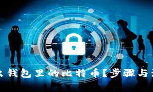 如何安全导出钱包里的比特币？步骤与注意事项详解