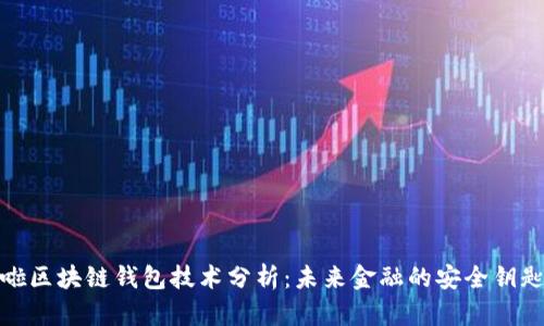 啦区块链钱包技术分析：未来金融的安全钥匙