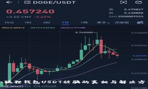 小狐狸钱包USDT被骗的真相与解决方法