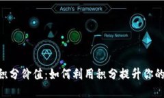 探索TP钱包的100积分价值：