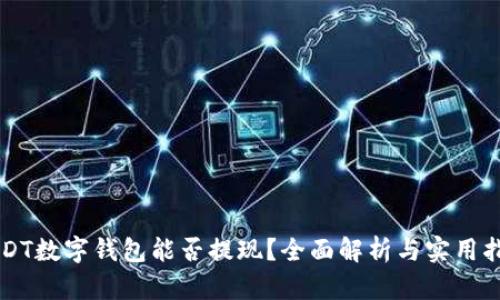 USDT数字钱包能否提现？全面解析与实用指南