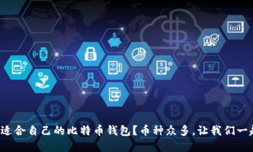 如何选择适合自己的比特币钱包？币种众多，让我们一起来探索！