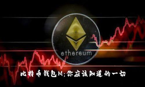 比特币钱包M：你应该知道的一切