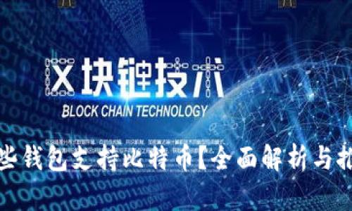 哪些钱包支持比特币？全面解析与推荐