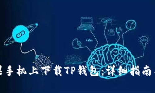如何在苹果手机上下载TP钱包：详细指南与注意事项