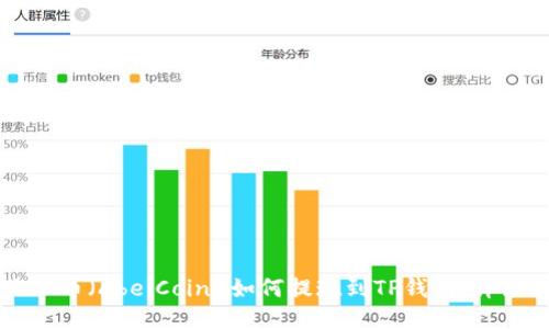 阿贝尔币（AbelCoin）如何提现到TP钱包：详细指南