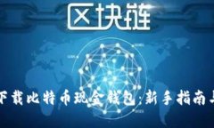如何高效下载比特币现金