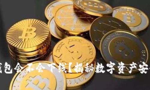 区块链钱包会不会下线？揭秘数字资产安全与风险